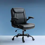 1 Artiss Office Chair