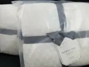Pottery Barn Teen Monique Lhuillier Snowfall White Std S/ 2 Quilted Shams #3641