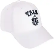 Desert Cactus Yale University Baseball Hat Bulldogs Brimmed Embroidered Hats Cap Adjustable Cloth Strap Adult (Style D1) White, Blue, One Size