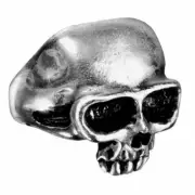 Alchemy Gothic Death Pewter Skull Ring • Local Stock • Gothic