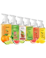 Lovery Set of 6 Foaming Hand Soaps in Citrus Scents, Moisturizing Hand Wash