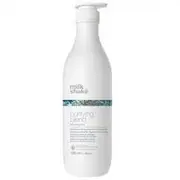 [Milk Shake] Milk_shake Purifying Blend Deep Cleansing Shampoo for All Hair Types - 1000 ml