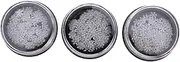 Healeved 1set Christmas Snowflake Nail Art Stickers of Stylish Sequins for Nail Design and Easy Application for All Ages 3boxes