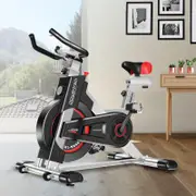 PowerTrain IS500 Silver Heavy Flywheel Exercise Spin Bike