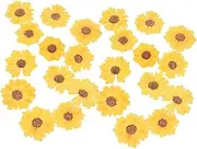 CIMAXIC 24pcs Dried Daisy Flowers for DIY Crafts Handmade Flower Material for Phone Case Decoration Nail Art Bookmarks and Candle Making for Creative Projects
