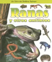 在飛比找博客來優惠-Ranas Y Otros Anfibios/ Frogs 