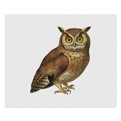 2 x 'Brown Owl' Microfibre Lens / Glasses Cleaning Cloths (LC00029339)