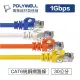 ☆電子花車☆POLYWELL 寶利威爾 RJ-45 CAT.6 福祿克 24AWG 高速網路線 網路線 藍色 0.3M