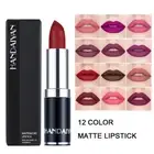 12 Color Lip Pigment Matte Lipstick Waterproof Gloss Popular Long-lasting Makeup