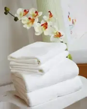 Clair de Lune Cot Bed Cotton Jersey Fitted Sheets Pack of 2, White