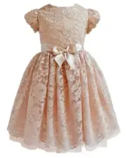 NWT Bonnie Jean Girls 2T Taupe Blush Bow Embroidered Lace Floral Dress