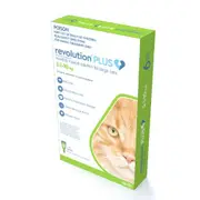 Revolution Plus Large Cat 5.1-10kg 6 pack