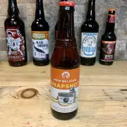 New Belgium Brewing Company Snapshot Beer Bottle Out Of Production Colorado RARE