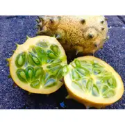 CUCUMBER 'African Horned' / Kiwano / Jelly Melon seeds