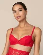 Agent Provocateur Rosele Red Push-up Bra 32DD NWT $165