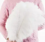 2 Pcs White 26-28 inches Large Ostrich Feather Plume Ostrich Wing Feathers