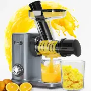 Masticating Cold Press Juicer Machines: Easy Clean Small Mouth Cold Pressed J...
