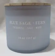 Kirkland's 14 oz Jar 3-Wick Candle up to 40 hours BLUE SAGE + FERN patchouli