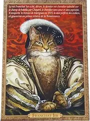 Sebreine 94145PC Franchat 1er Cat Postcard Chats enchantes