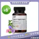 【大荷生研】清新療肺草 膠囊(百里香萃取+專利葡聚醣+療肺草) 30粒/瓶6入