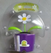 PURPLE Solar Dancing DAISY Sun & Light Powered FLOWER TOY Great Gift BOBBLE HEAD