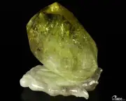 Gemstone 4.8" Citrine Carved Art Crystal Palm, Crystal Healing