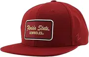 ZHATS Standard NCAA Officially Licensed Hat Flat Snapback Z11 Brick Team Color