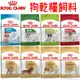 【皇家ROYAL CANIN】法國皇家 犬飼料 狗飼料 小包裝 皇家狗 品種特製飼料－寵物執行長