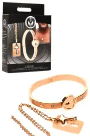 Master Series Cuffed Locking Bracelet & Key Necklace
