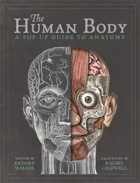 在飛比找誠品線上優惠-The Human Body: A Pop-Up Guide