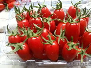吉園圃安全蔬果認證 溫室玉女蕃茄