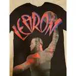 NIKE DRI-FIT LEBRON TEE 耐吉 NBA 詹皇 籃球運動T恤 M號 洛杉磯湖人隊 美國職籃 詹姆斯