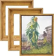 HUACANVAS 3Pack Canvas Floater Frames,Canvas Floating Frame 3/4" Depth,Floater Frames for Canvas Paintings,Canvas Picture Frame,Canvas Frame,Frame for Canvas (8"x10", Walnut Brown)