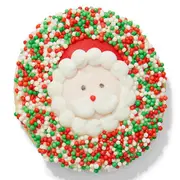Kazoo Colourful Cookie with Santa Dog Treat