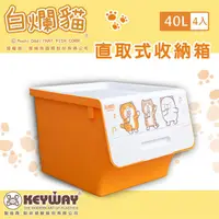 在飛比找蝦皮商城優惠-dayneeds白爛貓直取式大口收納箱40L【四入組】收納箱