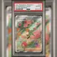 PSA10 日文鑑定卡 菜種的活力 寶可夢 PTCG