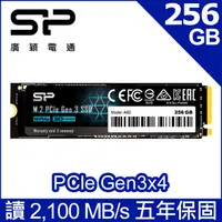 在飛比找PChome24h購物優惠-SP廣穎 P34A60 256GB NVMe Gen3x4 