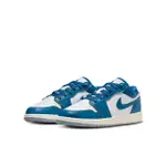 【NIKE 耐吉】休閒鞋 女鞋 大童 運動鞋 AJ1 AIR JORDAN 1 LOW SE GS 藍白 FN9137-141