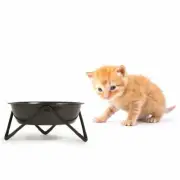 BENDO Cat Bowl Meow | Black On Black