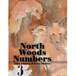 NORTH WOODS NUMBERS