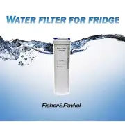 Genuine Fisher & Paykel Fridge Water Filter 862285 836860 67003662 E522B, E442