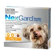 NexGard for Very Small Dogs 2-4kg Orange Flea & Tick Treatment Tasty Chew 6 pack