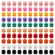 100 Pcs Assorted Color Plastic Double Hole Spring Cord Lock End Stopper Faste...