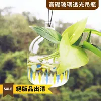 在飛比找蝦皮購物優惠-【現貨】高硼玻璃透光吊瓶 苔蘚微景觀生態瓶 DIY材料植物盆