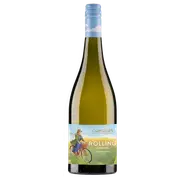 Cumulus Rolling Orange Chardonnay 2022 - Buy Online | The Wine Collective Marketplace