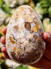 Large Yellow Cobra Jasper Crystal Egg Handmade Crystal Home Office Decorative