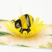 Bumble Bee 3D Pop Up Card, Pop Up Cards Australia, Birthday, Valentine's, Mother's Day, Get Well, Thank You