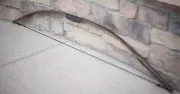 Robin Hood, Ranger, Archer, Hunter Functional Bow