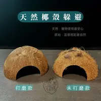 在飛比找蝦皮購物優惠-【野境】椰殼躲避屋 天然 躲避 造景 椰子殼 椰殼 爬蟲躲避