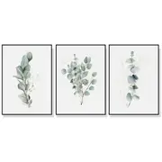 Wall Art 80cmx120cm Eucalyptus Plant 3 Sets Black Frame Canvas